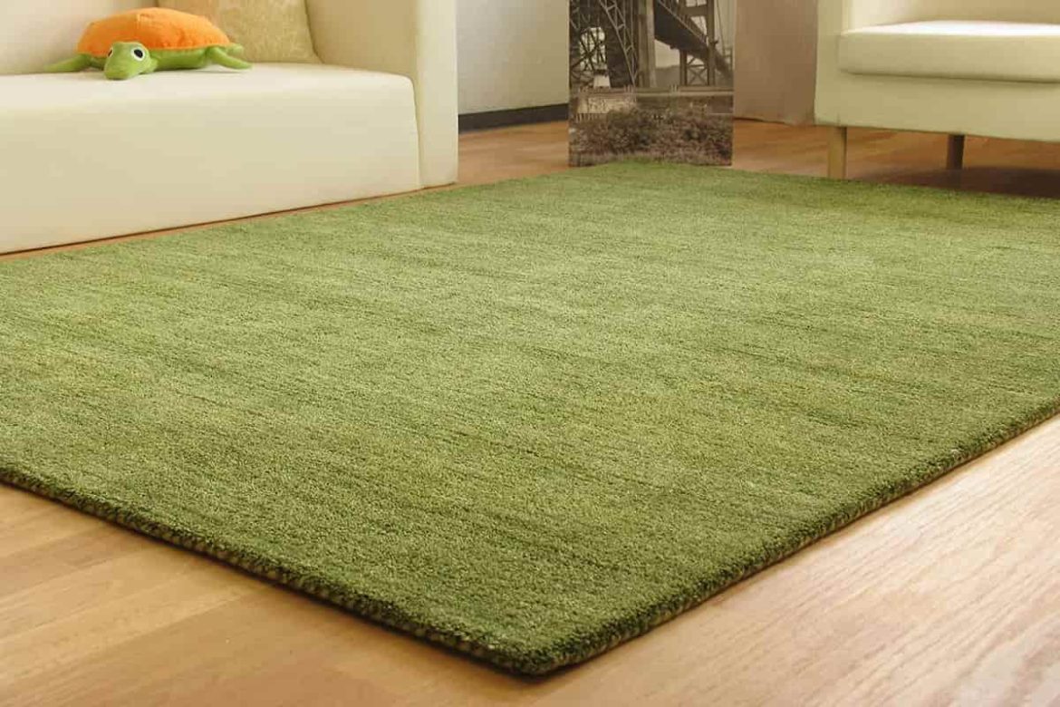 Green Gabbeh Rug; Animal Wool 2 Patterns Traditional Modern