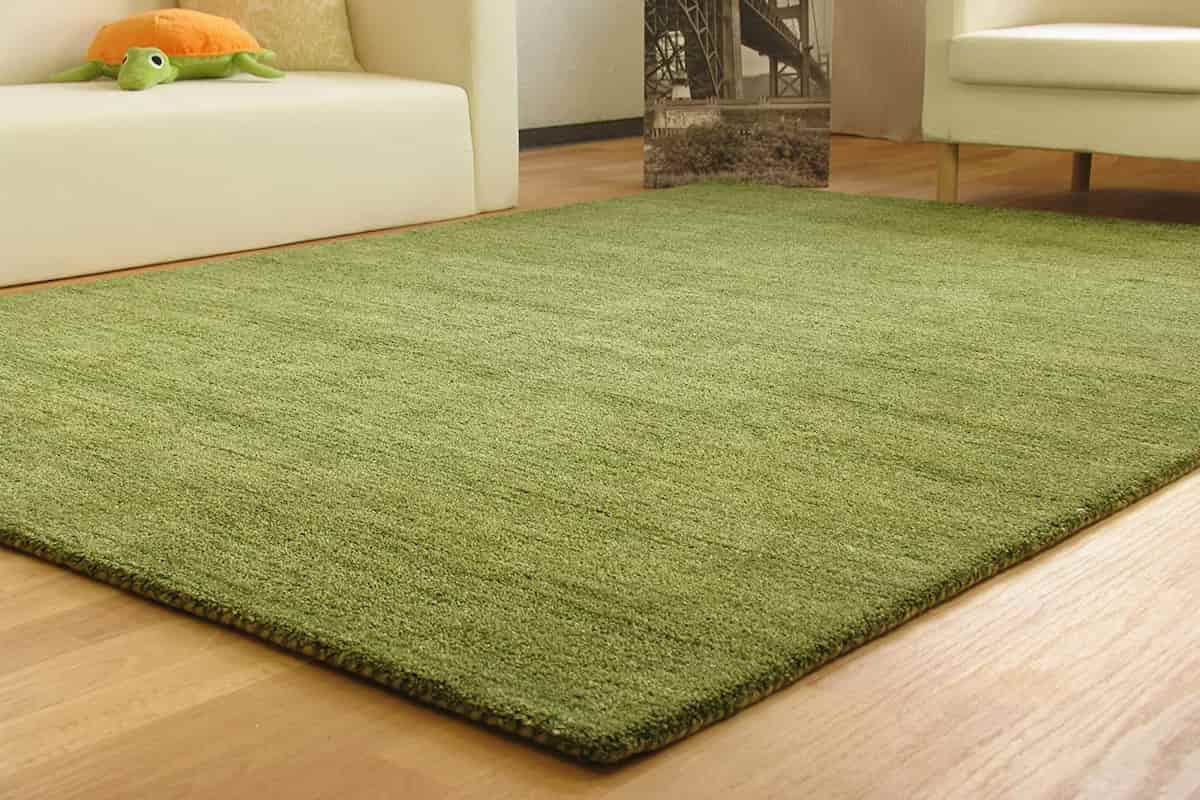  Green Gabbeh Rug; Animal Wool 2 Patterns Traditional Modern 