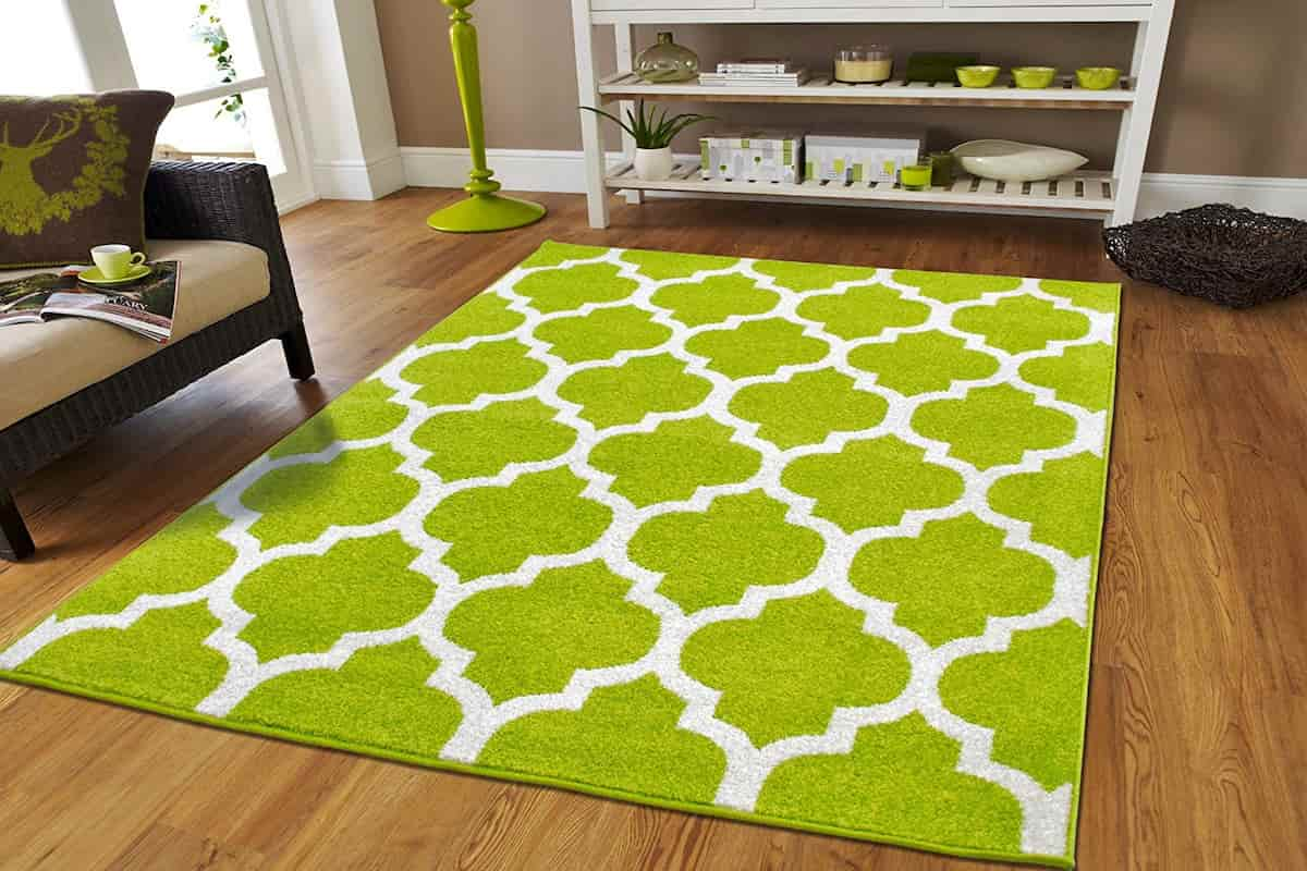  Green Gabbeh Rug; Animal Wool 2 Patterns Traditional Modern 